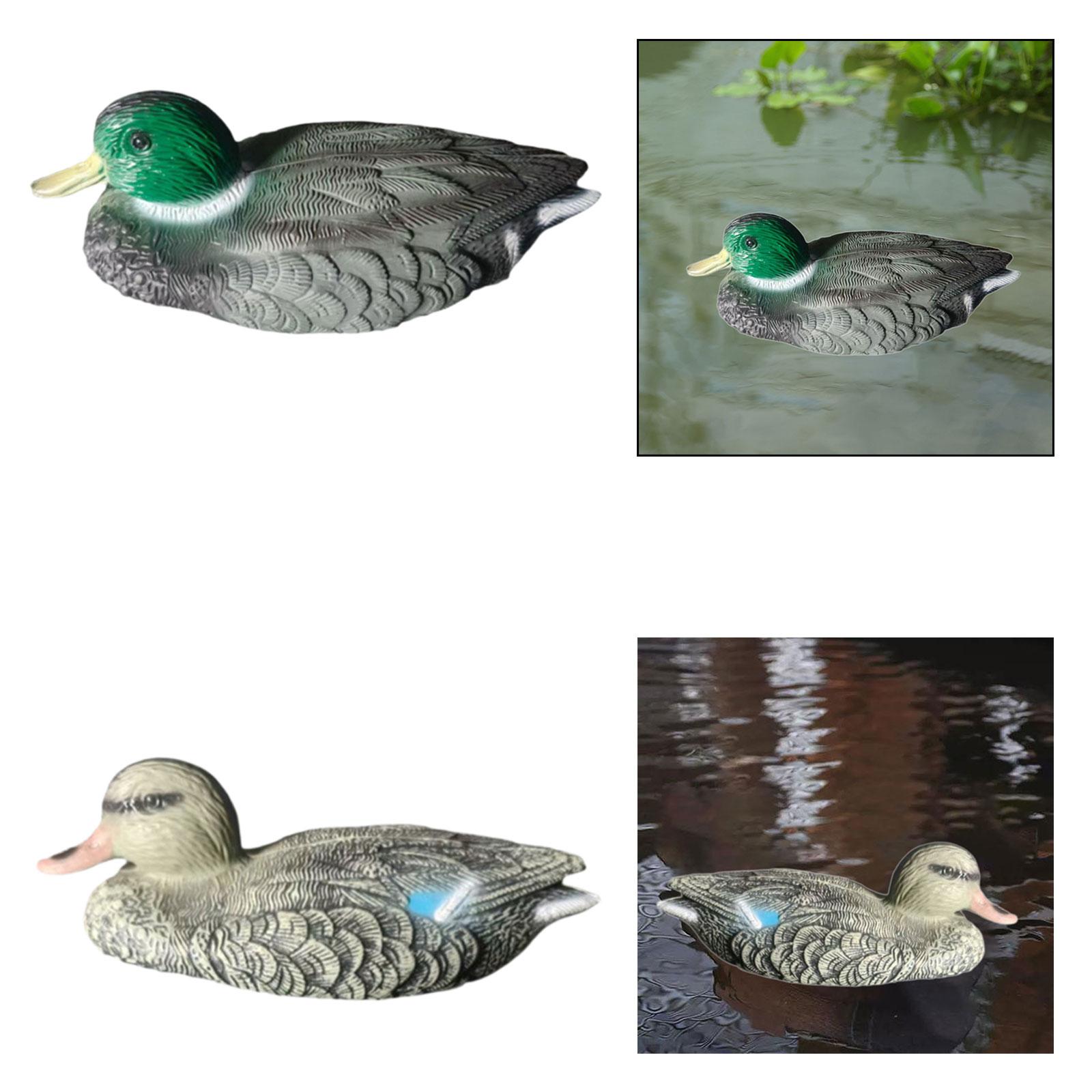 Floating Duck Decoy Realistic  - Outdoor Hunting Place 评论和价格