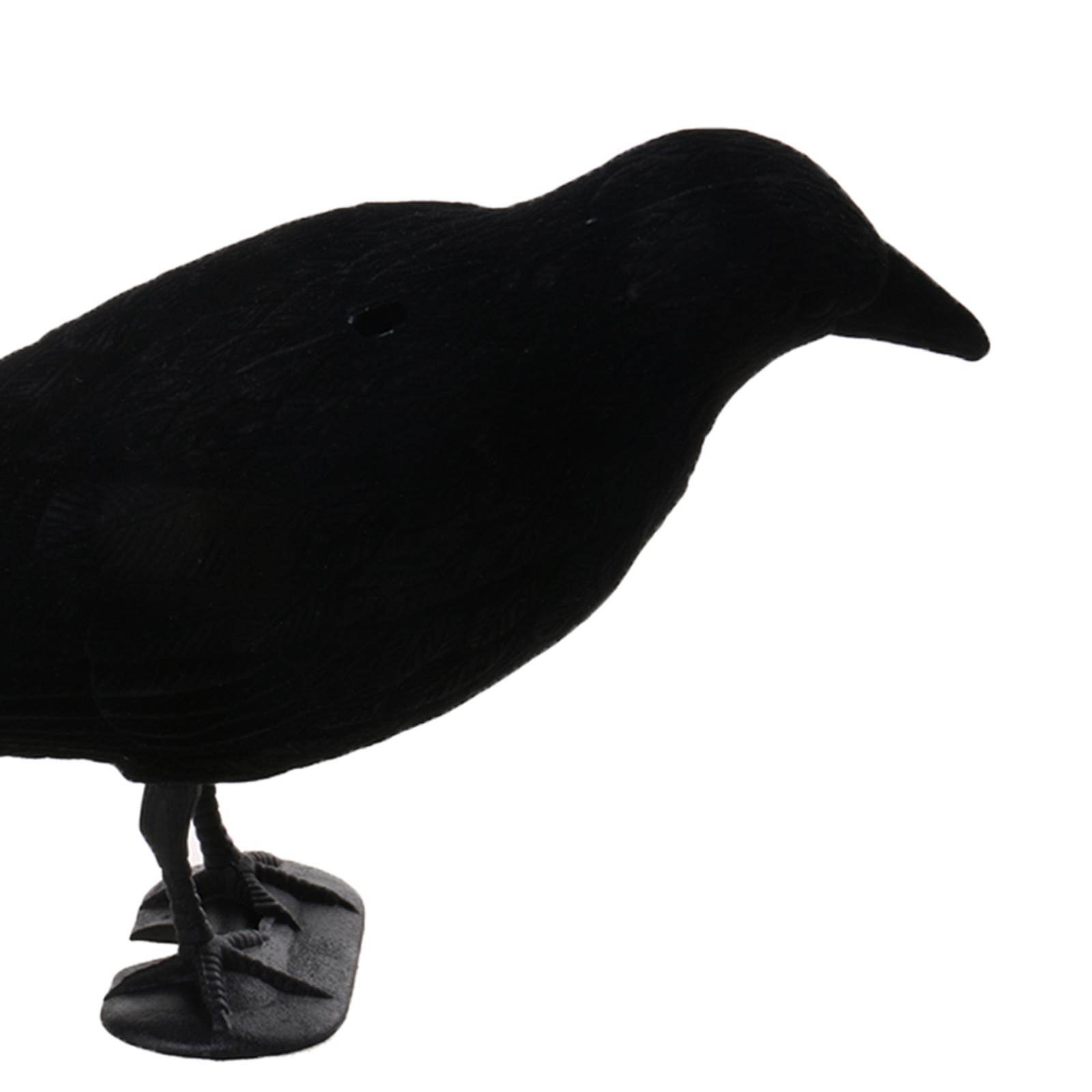 Crow Decoy Animal Trap Body Fl - Hunting And Outdoor Supplies 评论和价格