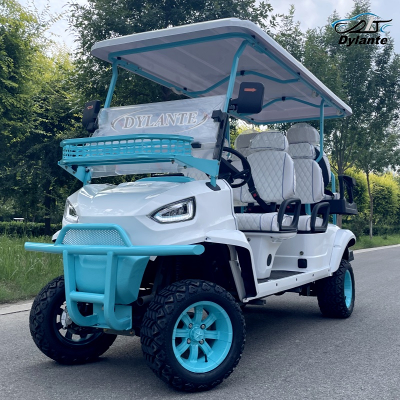 2026 New 4+2 Seater Lithium Ba - Outdoor Hunting Vehicle 评论和价格