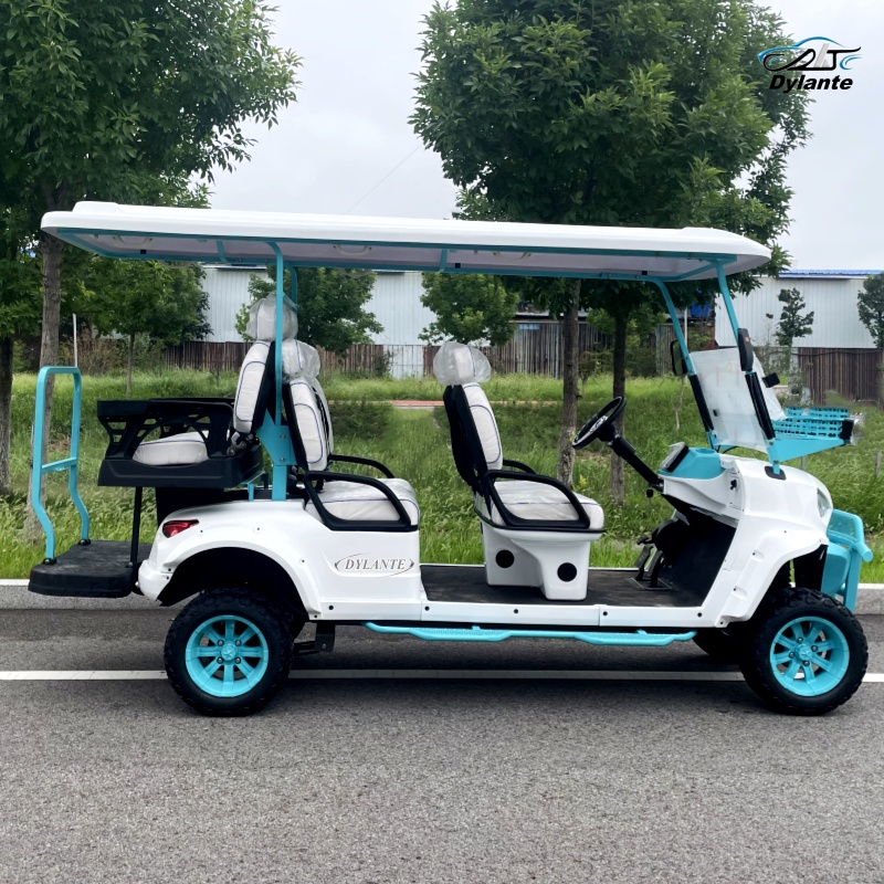 2026 New 4+2 Seater Lithium Ba - Outdoor Hunting Vehicle 评论和价格